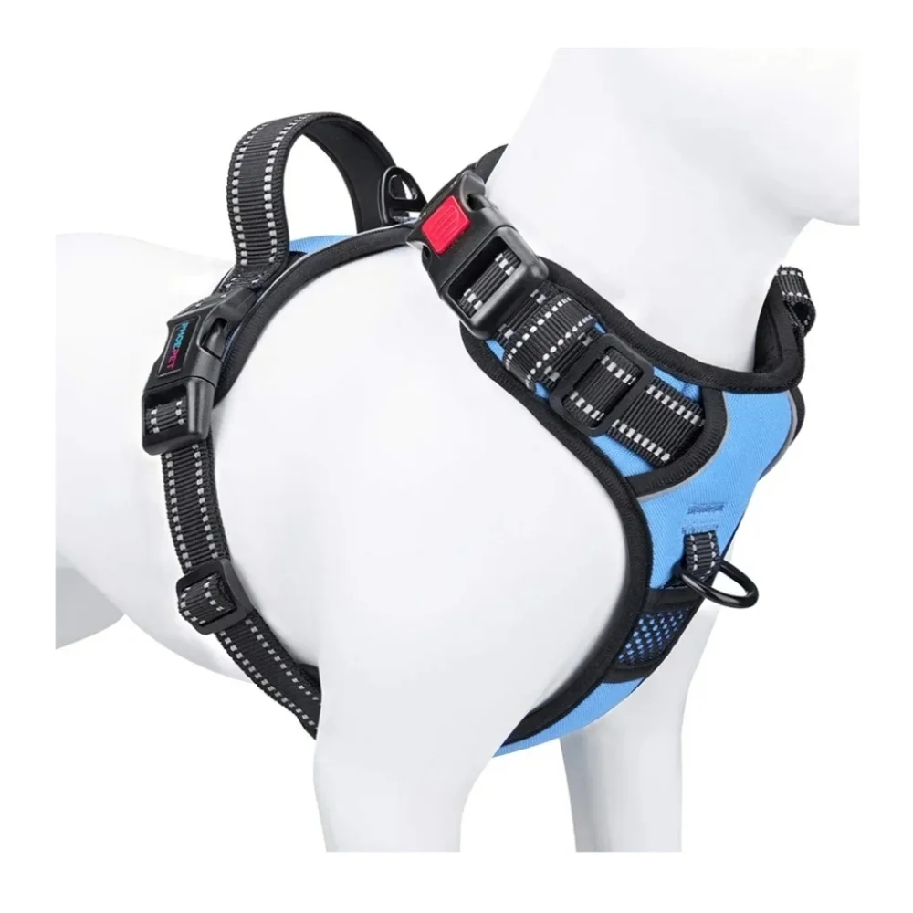 Blue and Black Dog Harness - Picture 1 of 16